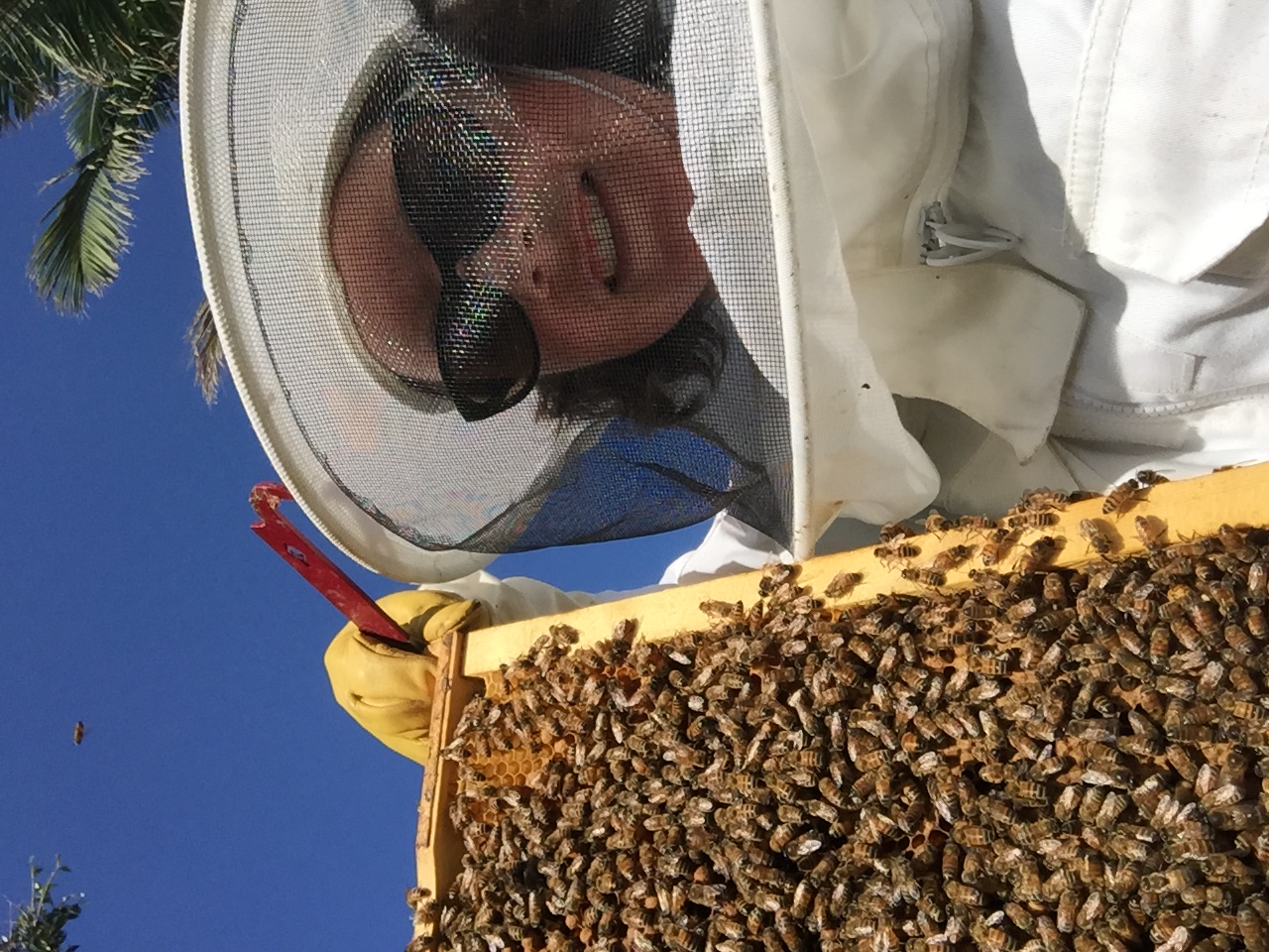 Hello honey!  post image