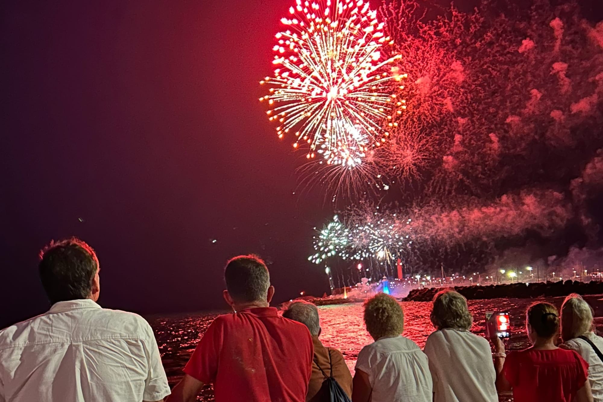 Council wrap: Fireworks are on, trees are gone, bike ban is done 
												post image