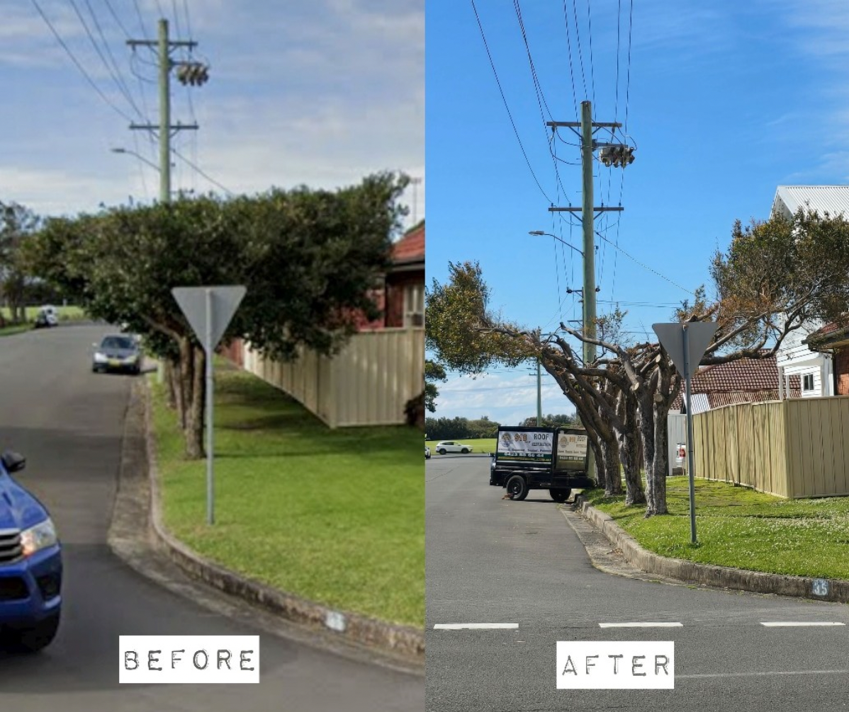 When does street tree pruning become tree vandalism? 
												post image