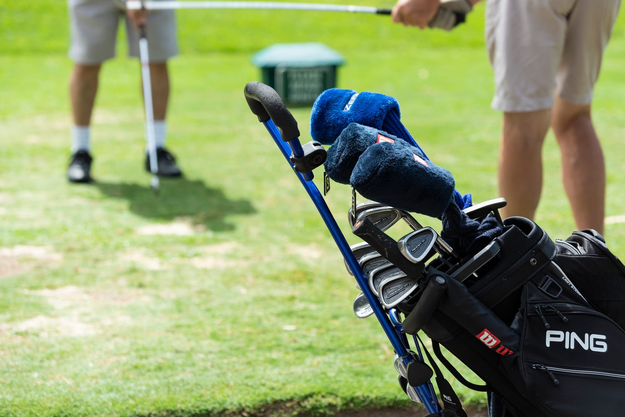 Tees the season: Golfers share festive wishes 
												post image