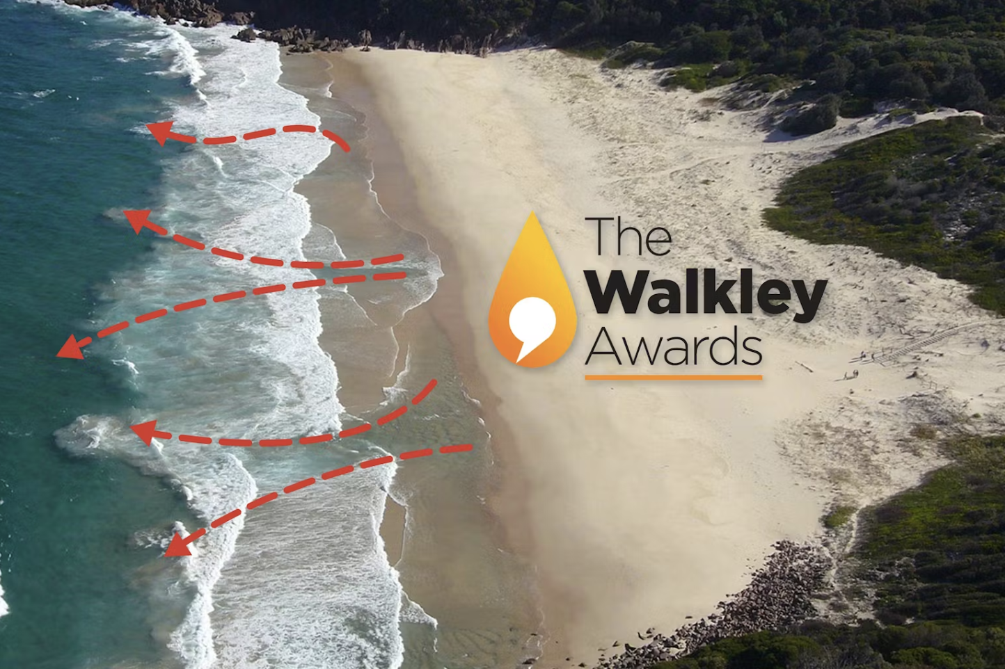 Good luck to Dr Rip: Our local Science of the Surf expert is a finalist at the Walkleys 
												post image