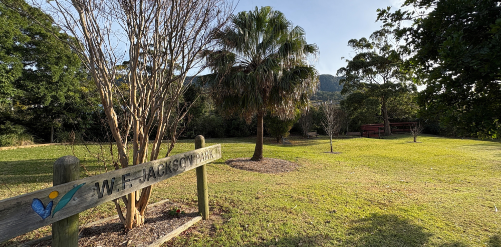 Thirroul Village Committee's December Update 
												post image