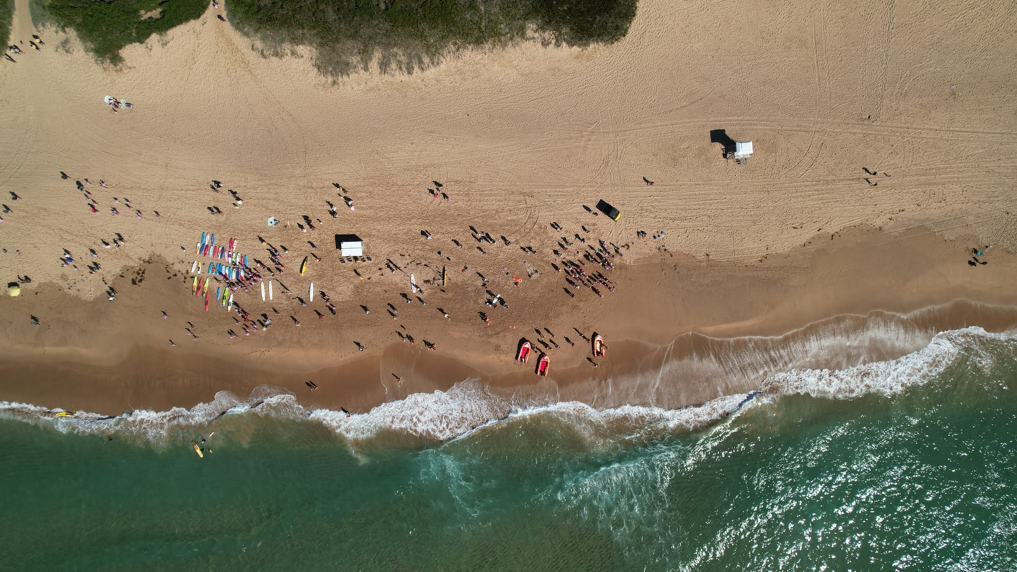 Slip, slop, slap & buzz: Summer safety takes off 
												post image