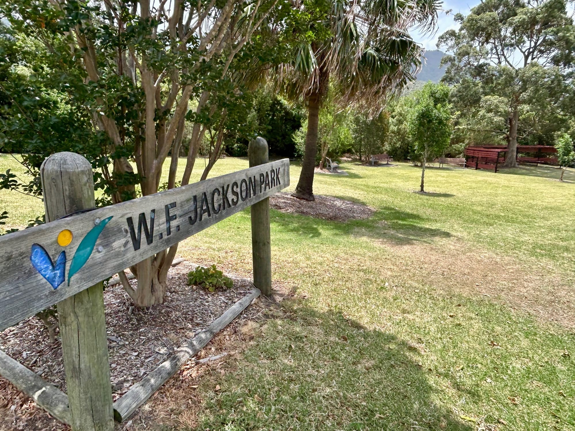 Council rolls on with new skateparks for MacCabe Park and Thirroul 
												post image