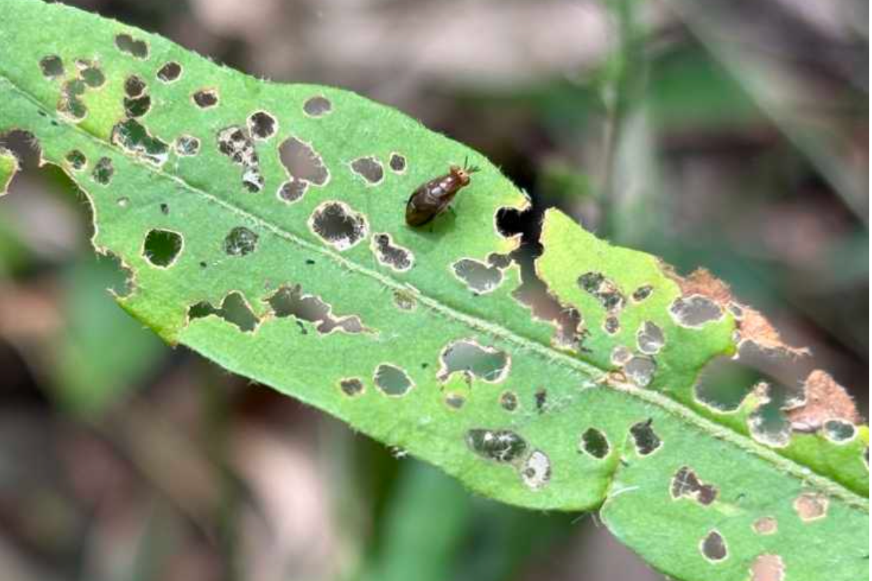 When is a bug a feature? 
												post image