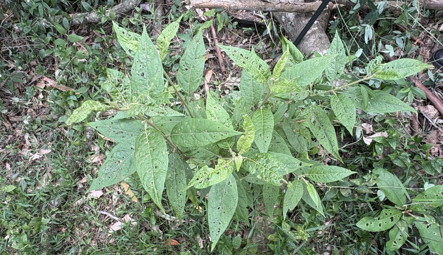 When is a bug a feature? 
												post image