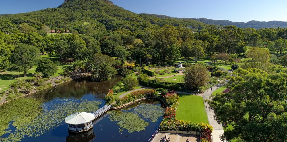 Proposals invited to activate Wollongong Botanic Garden 
												post image