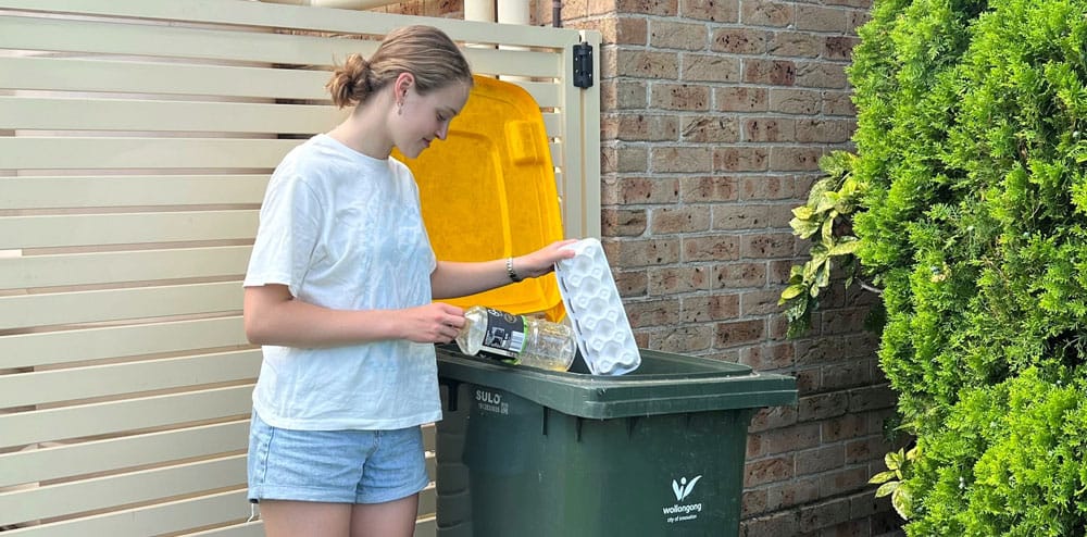 Council's guide to waste and recycling over the break 
												post image