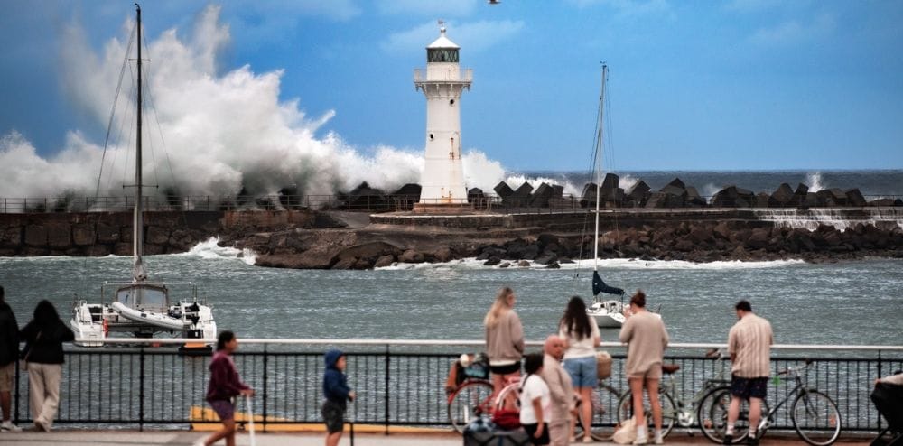 Council to review fireworks launch locations following New Year's Eve cancellation 
												post image