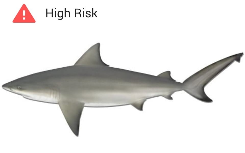 Sydney commuter wins Frequent Visitor Award 
												post image