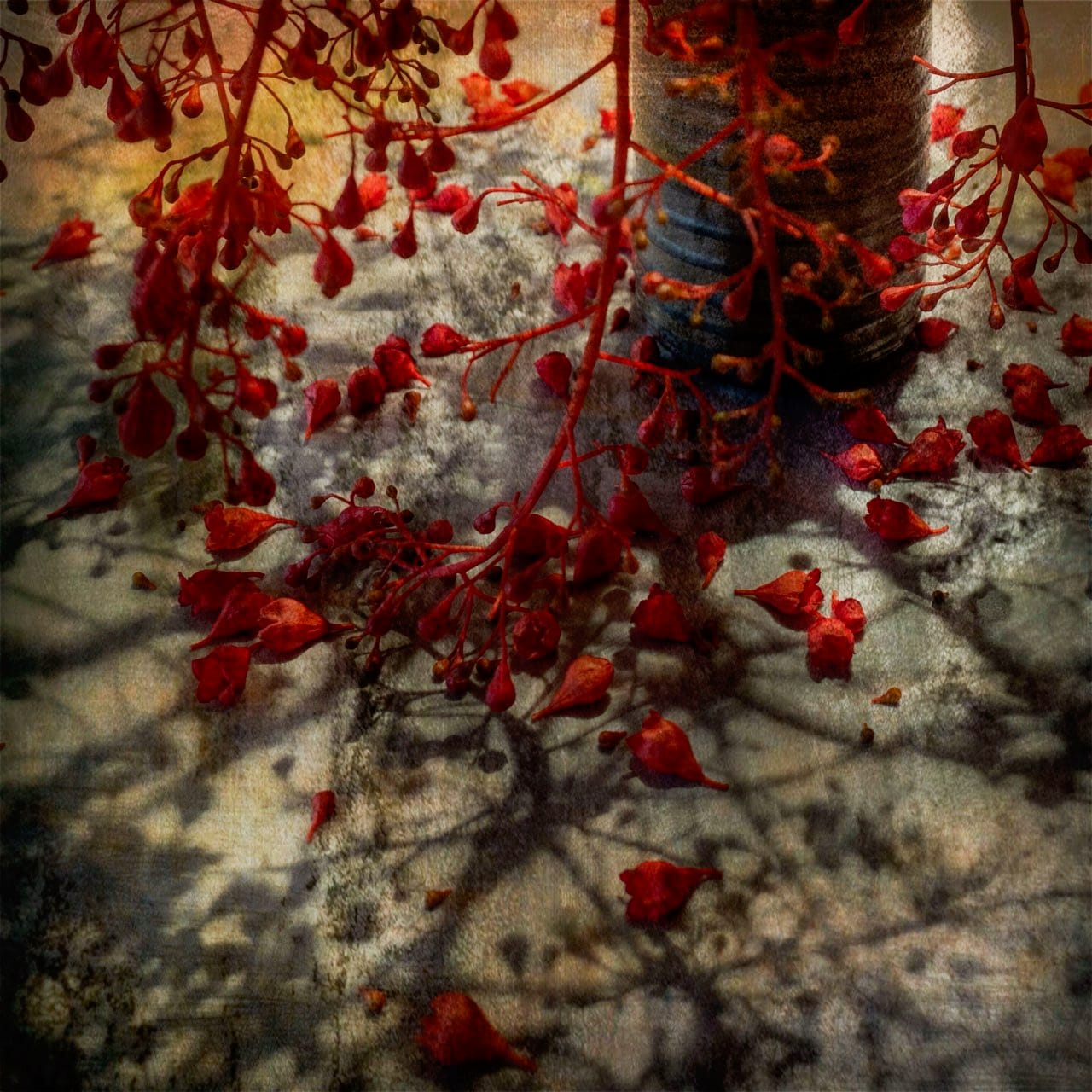 New photos arise from shadows of award-winner's success 
												post image