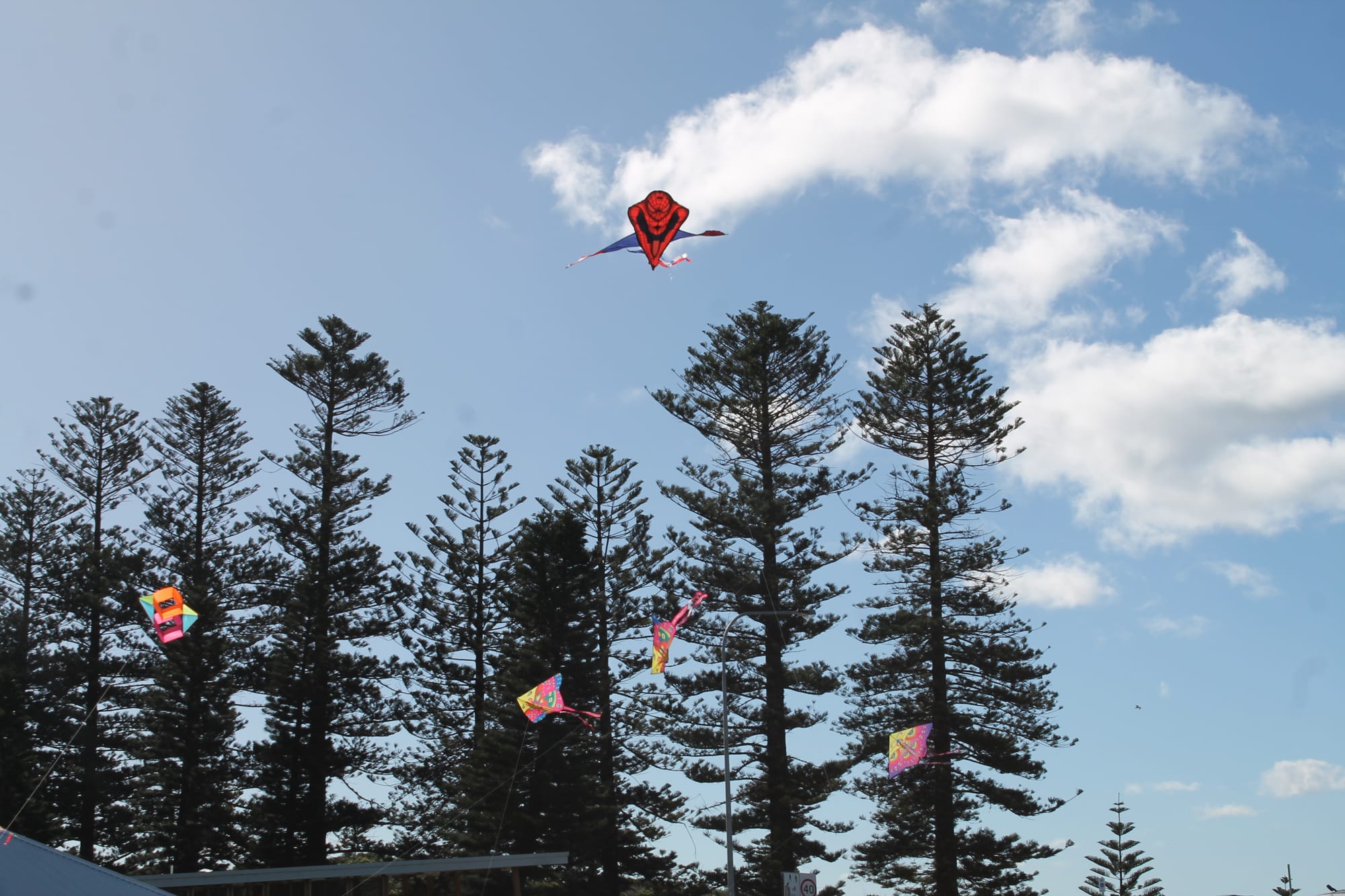 Thirroul Seaside and Arts Festival is back this weekend 
												post image