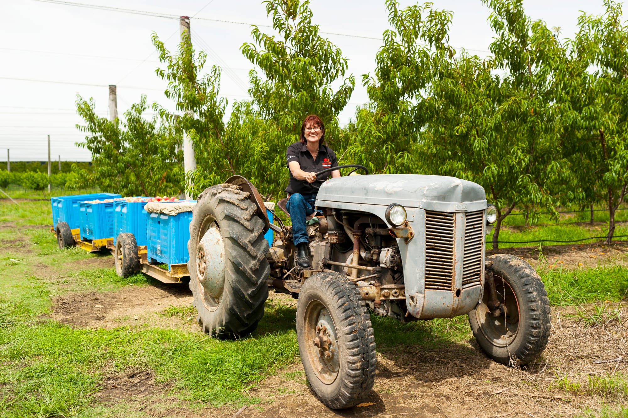 In toughest time for farmers, shopping local helps 
												post image