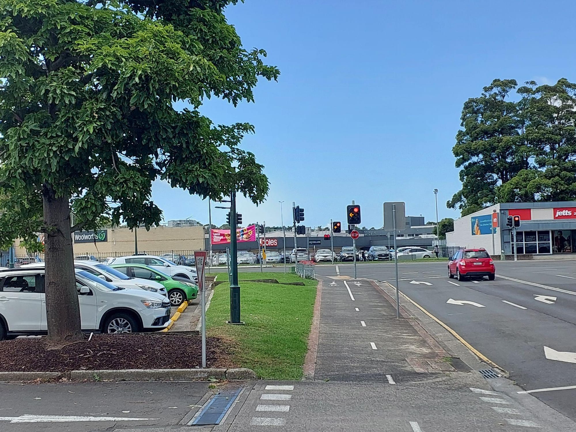 More money for trees – and how forests can help our city breathe 
												post image