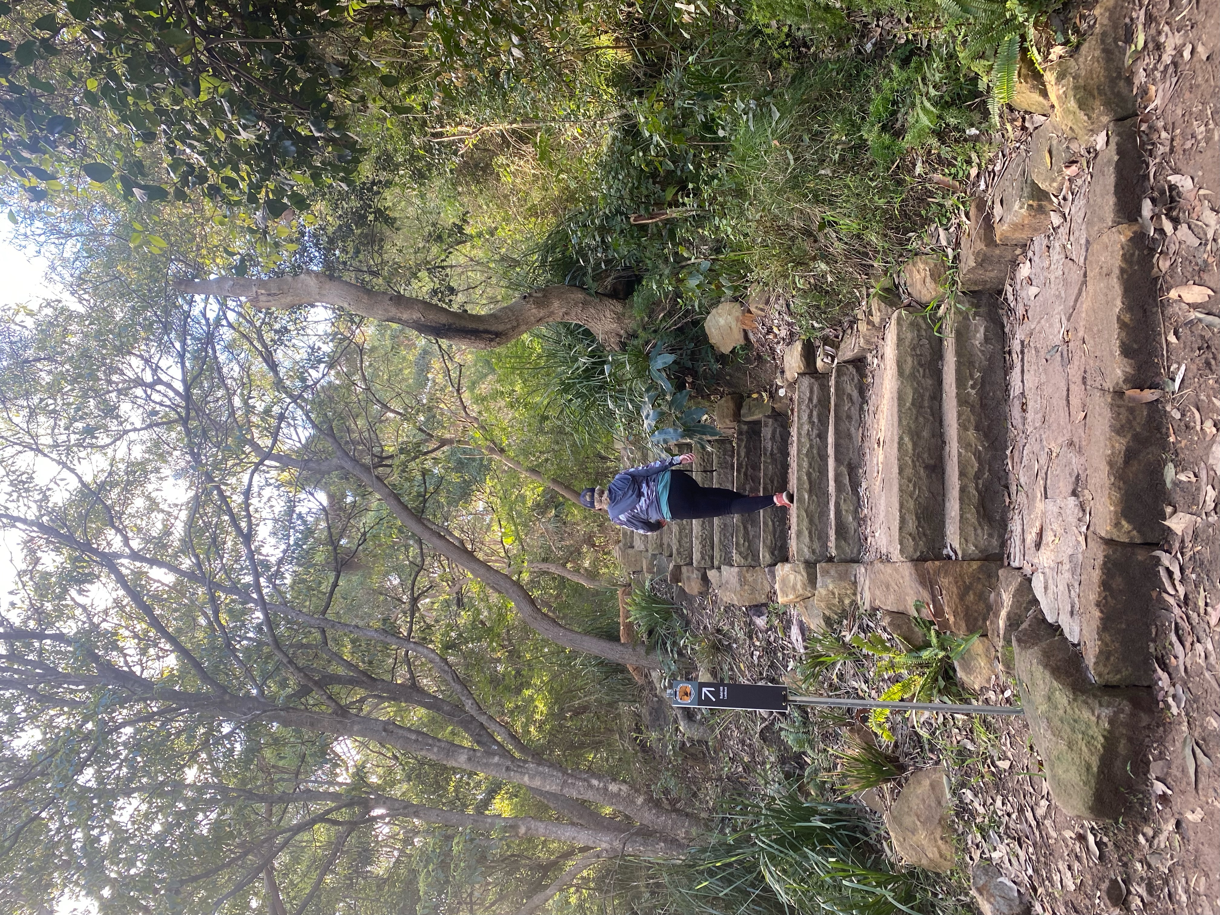 Stairway to Bald Hill heaven: First look at new walk to Stanwell Park