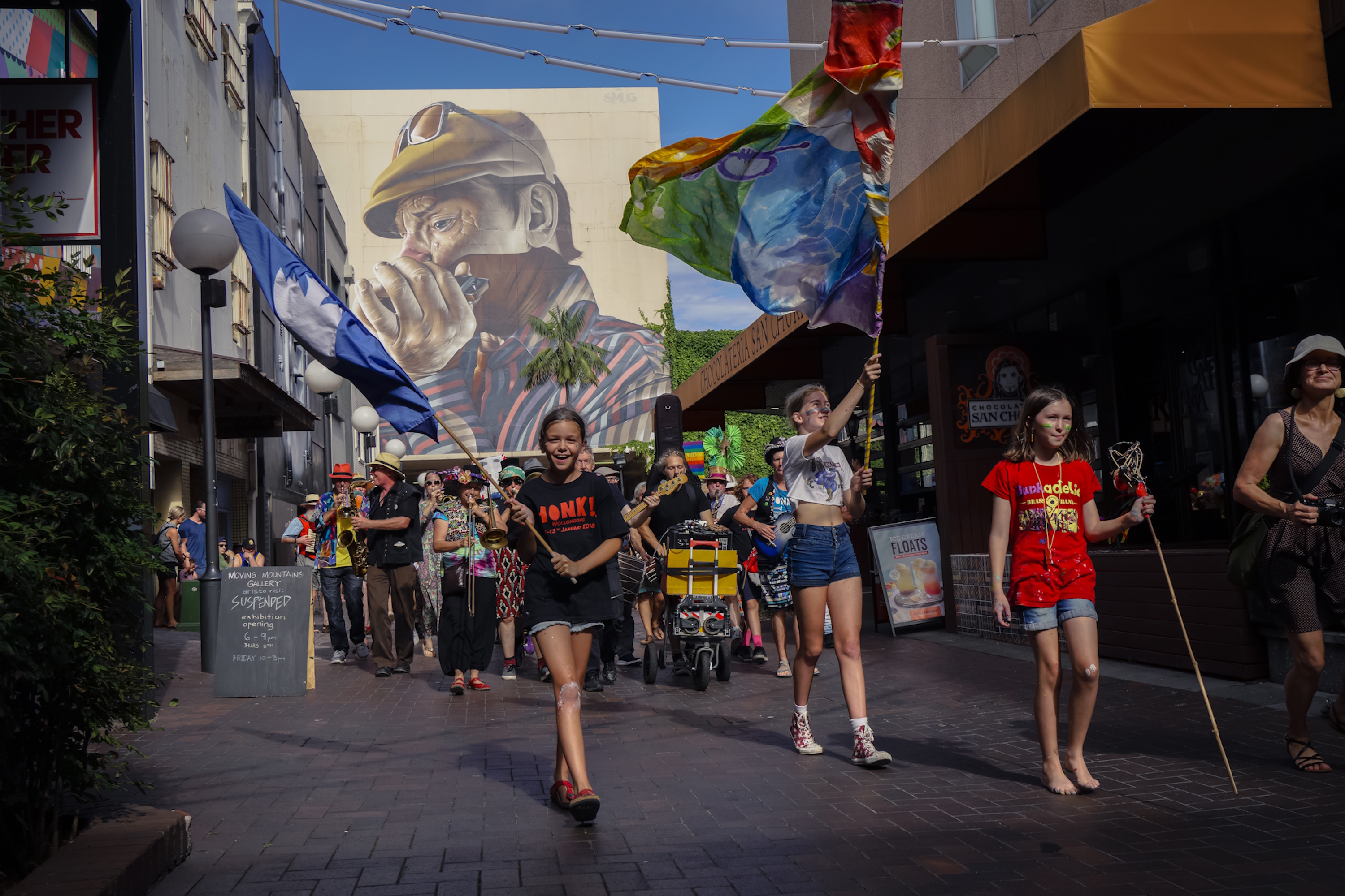 Honk! Oz exhibition opens at Wollongong Library