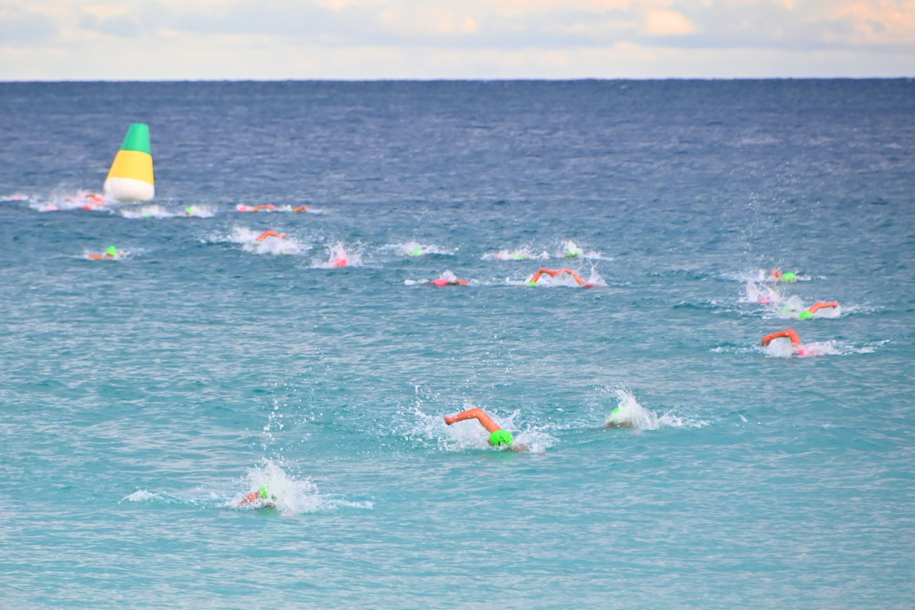 Hello, Tuesday readers  post image