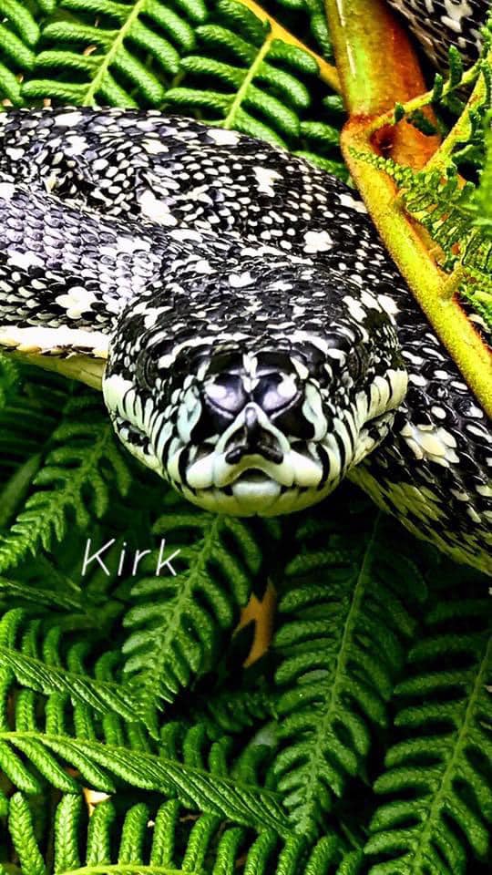 The summer guide you s-s-simply must read!  post image