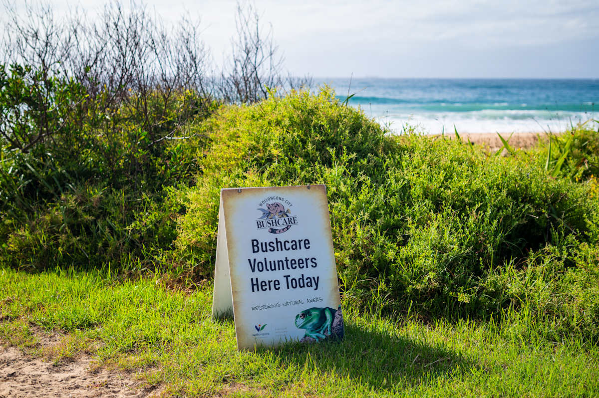 Thirroul Village Committee Update for October  post image