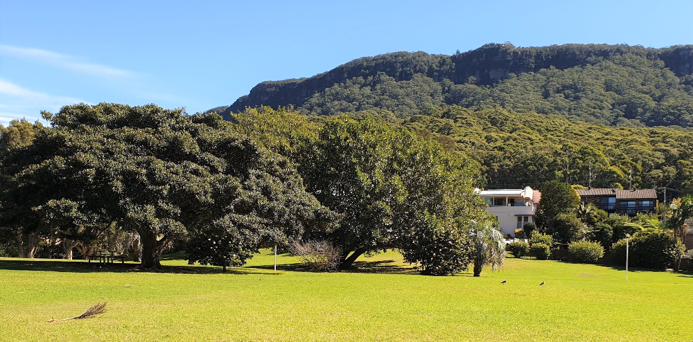 Plans for Glastonbury Garden to bring back its original roots