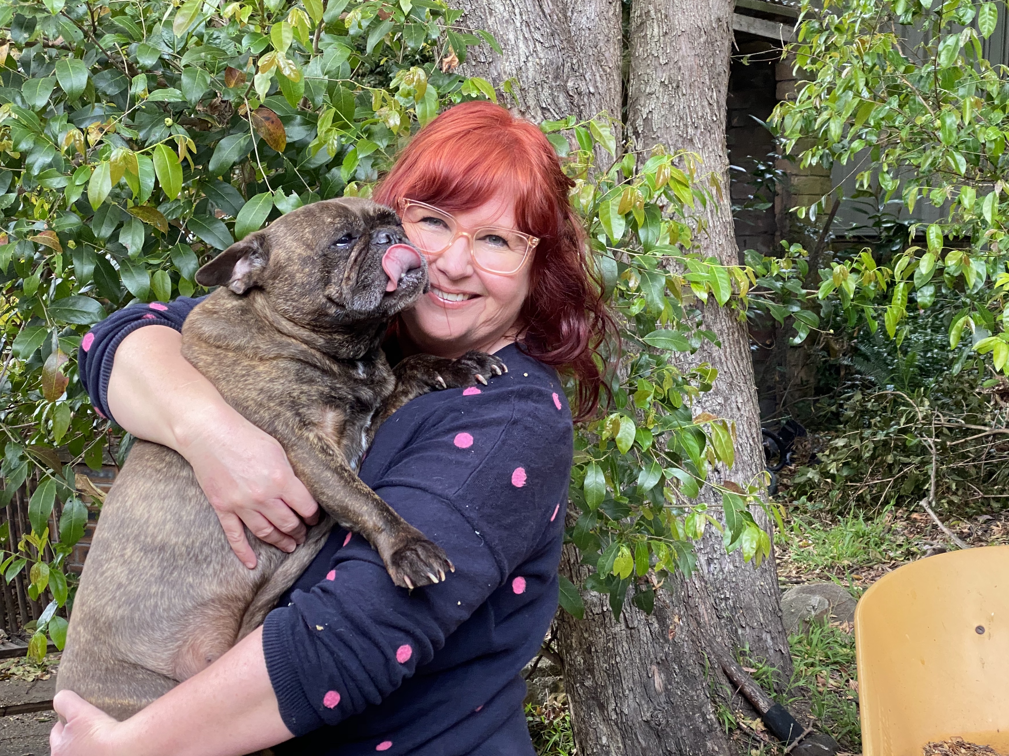 Hello, Wednesday readers  post image