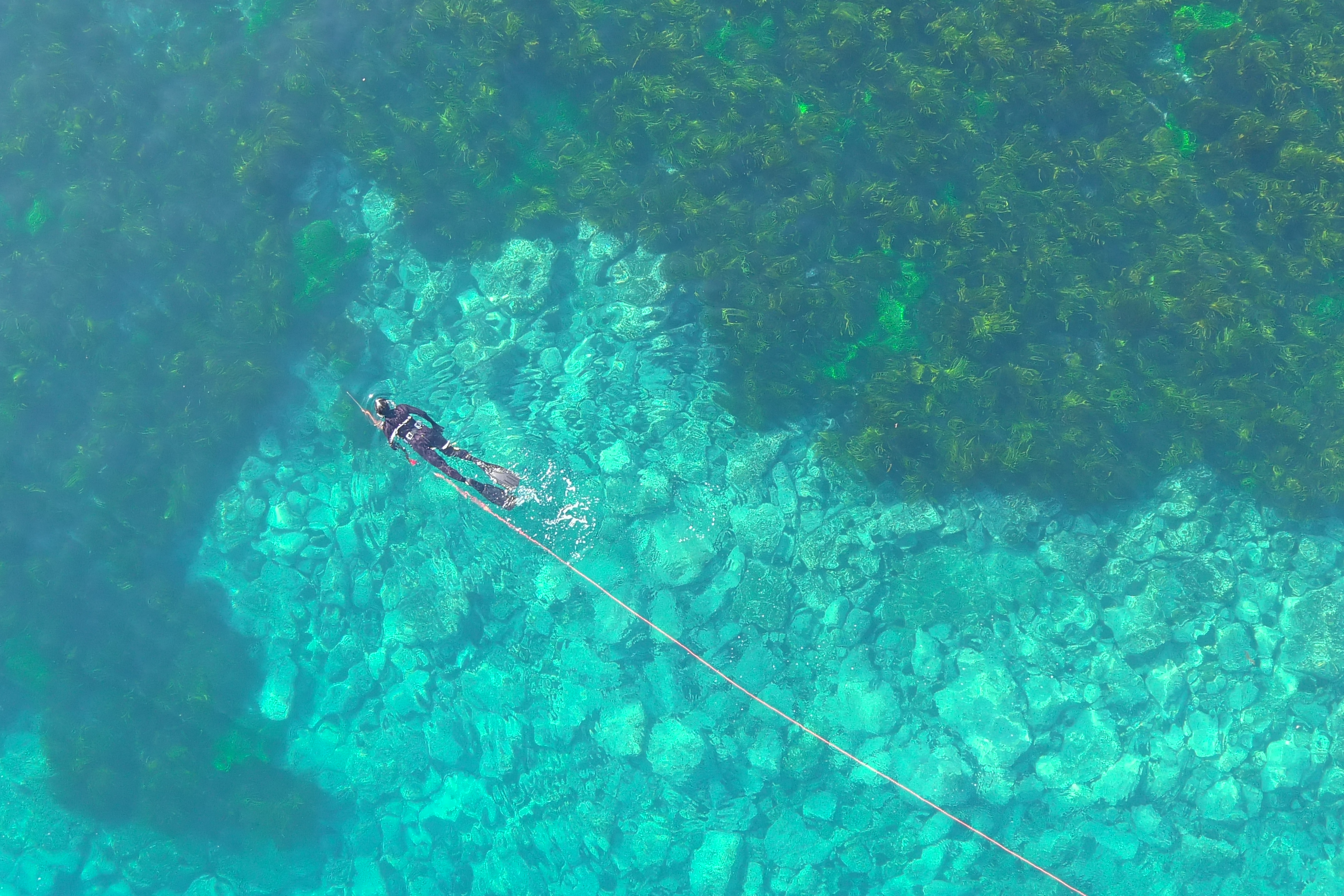 Hello Fish: Snorkelling at Sandon Point