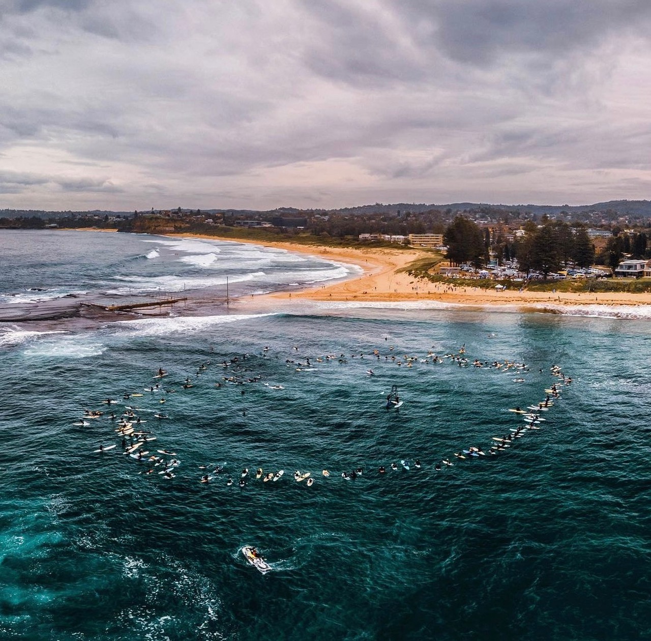 Innovative tech to replace shark nets