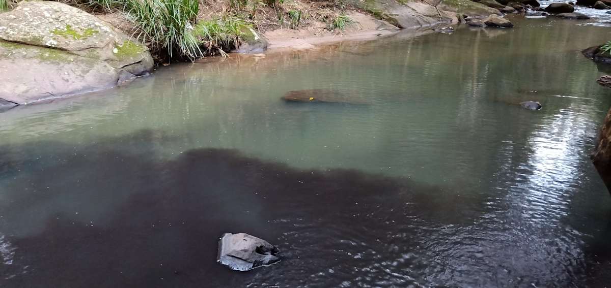 Camp Gully Creek pollution – a year on, what has changed?