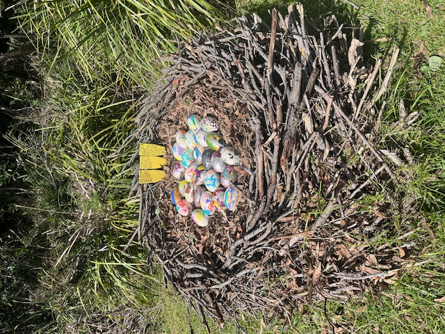 Egg-ceptional: How Stanwell Park children make Art in the Park