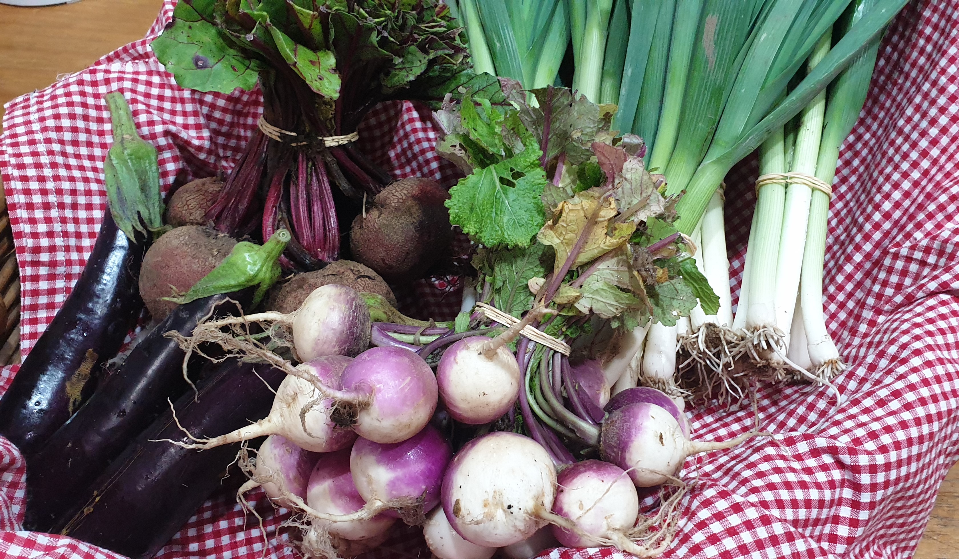 What is Food Fairness Illawarra?  post image