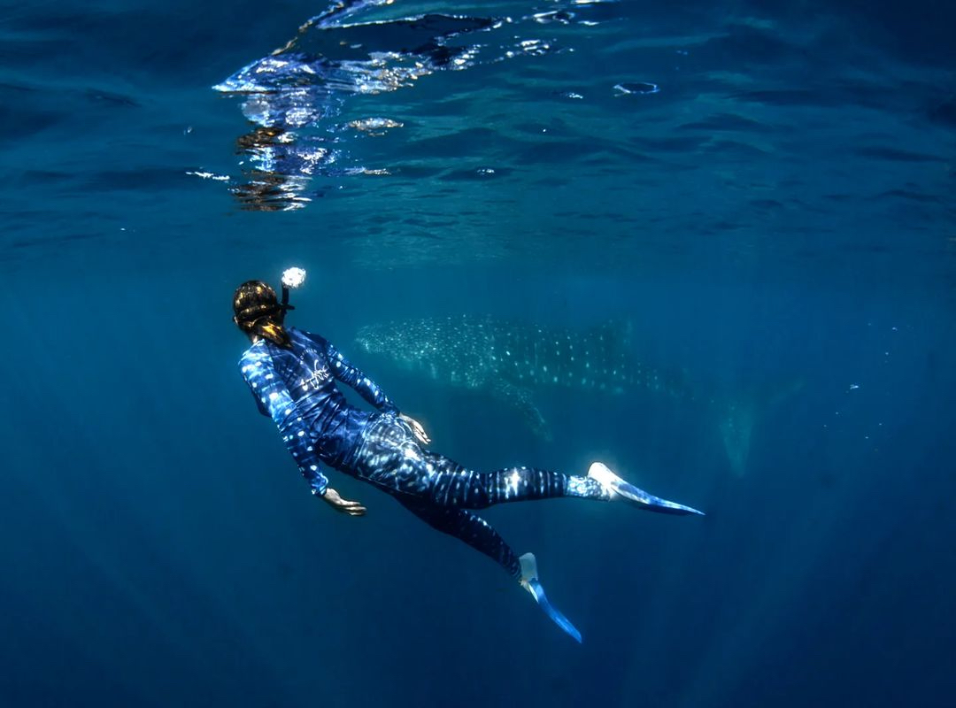 Have Bachelor of Science, will travel  post image