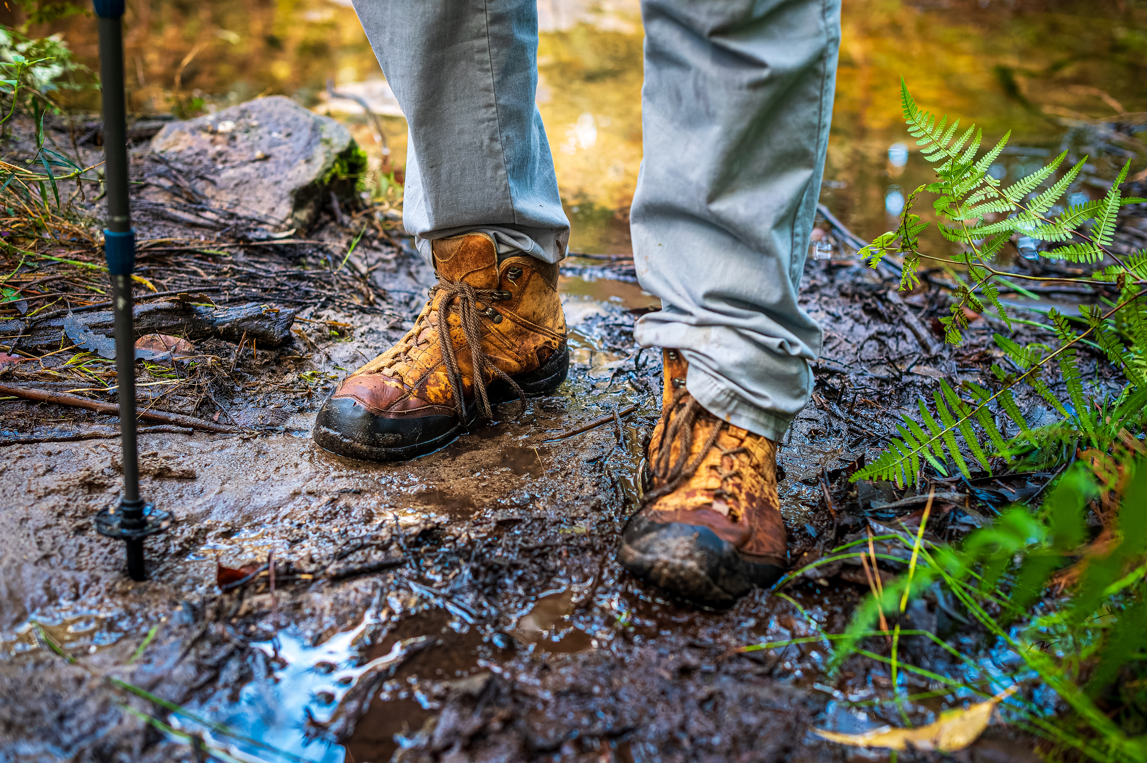 Luxury hiking developments look picture-perfect, but could stop everyday Australians from accessing national parks
