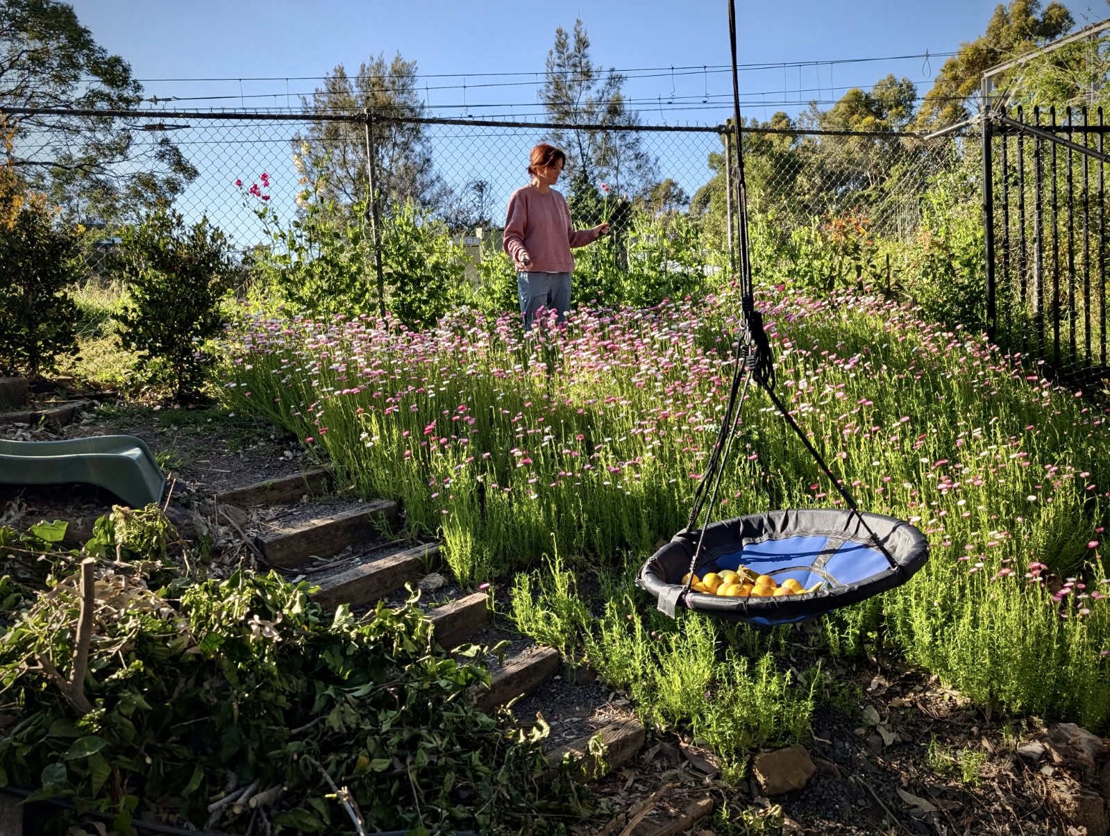 Business is blooming at a backyard flower farm in Thirroul