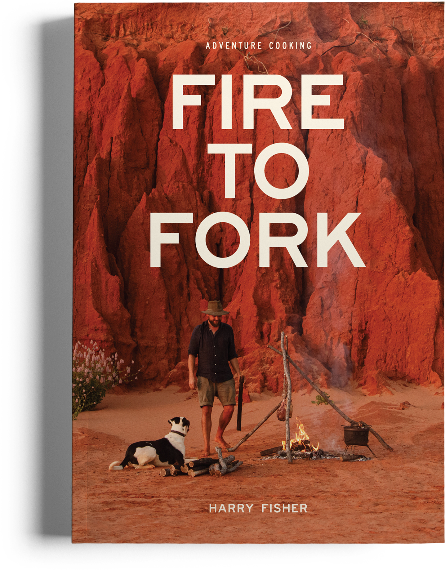 Small publisher helps plant forests  post image