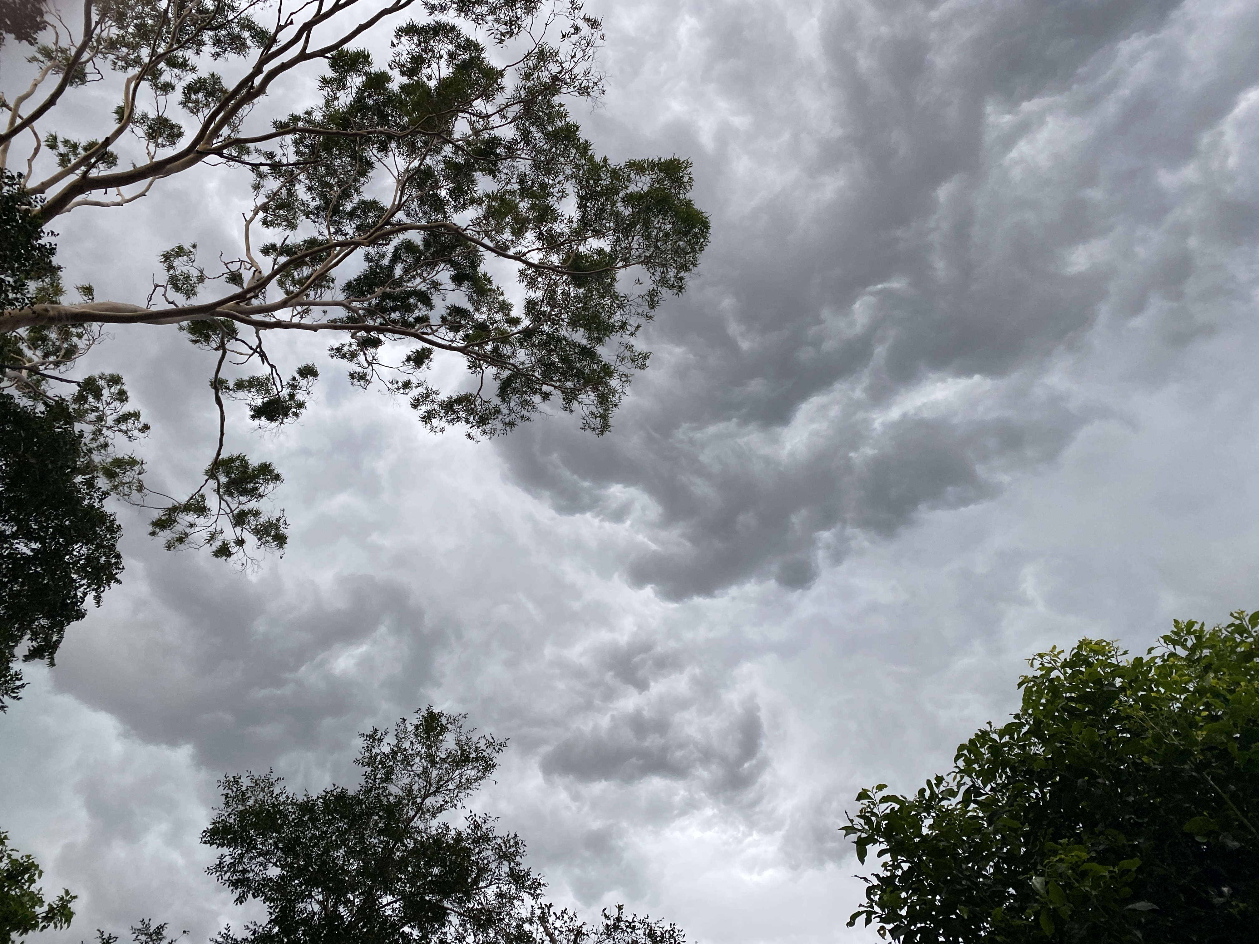 Hello, Wednesday readers  post image