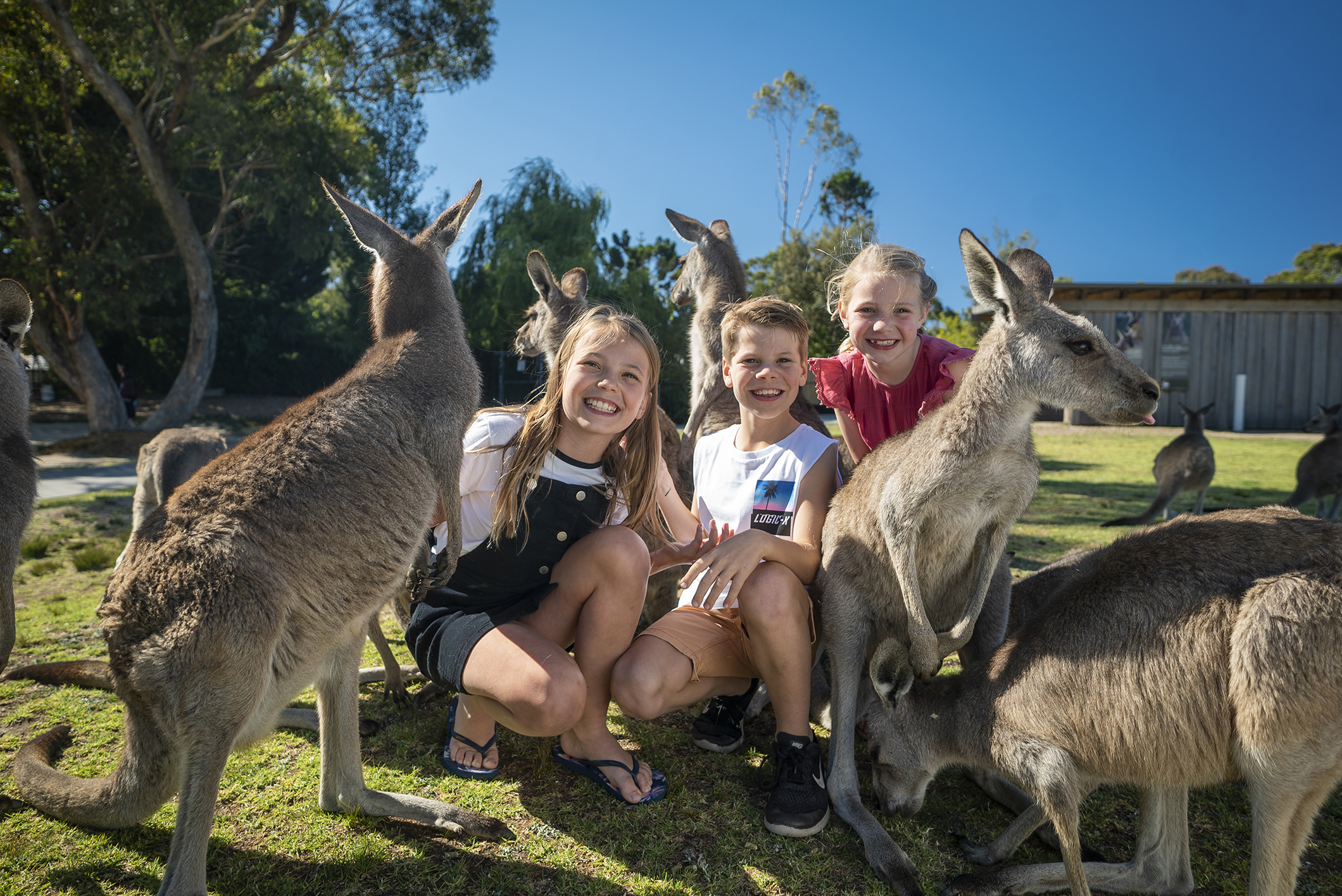 Skip the lines at Symbio