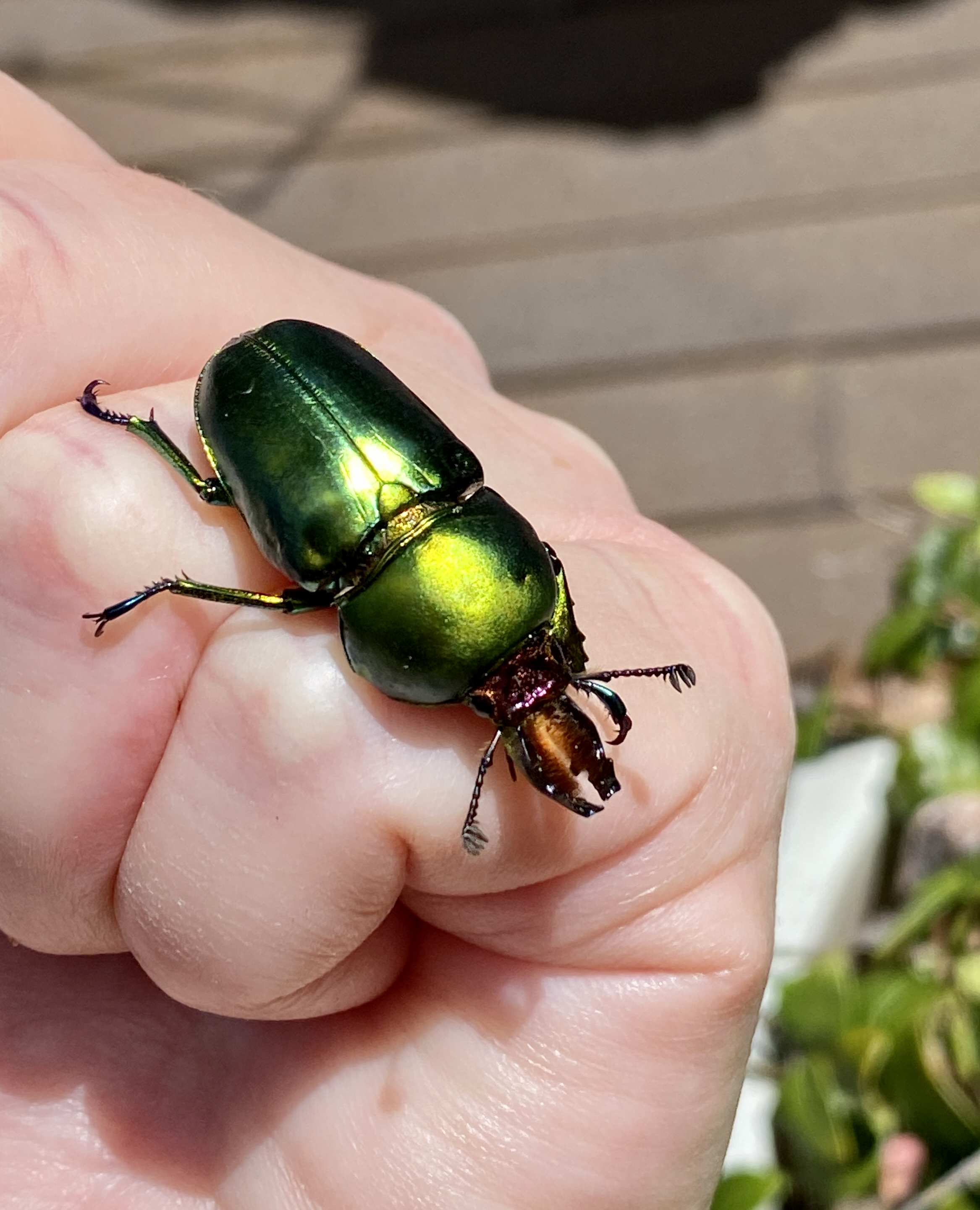 Welcome to a new year of science and nature,