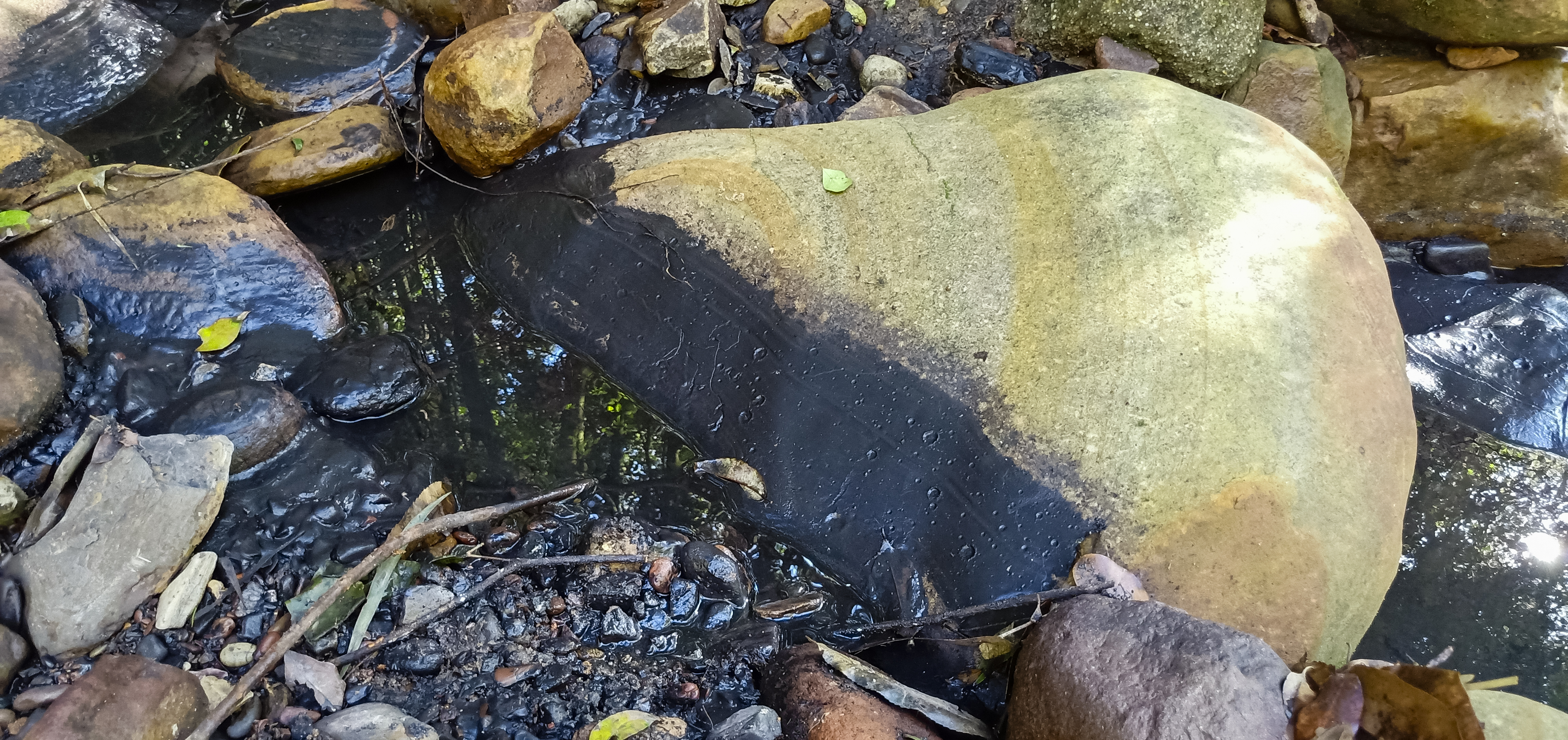 Trouble with holding Peabody to account