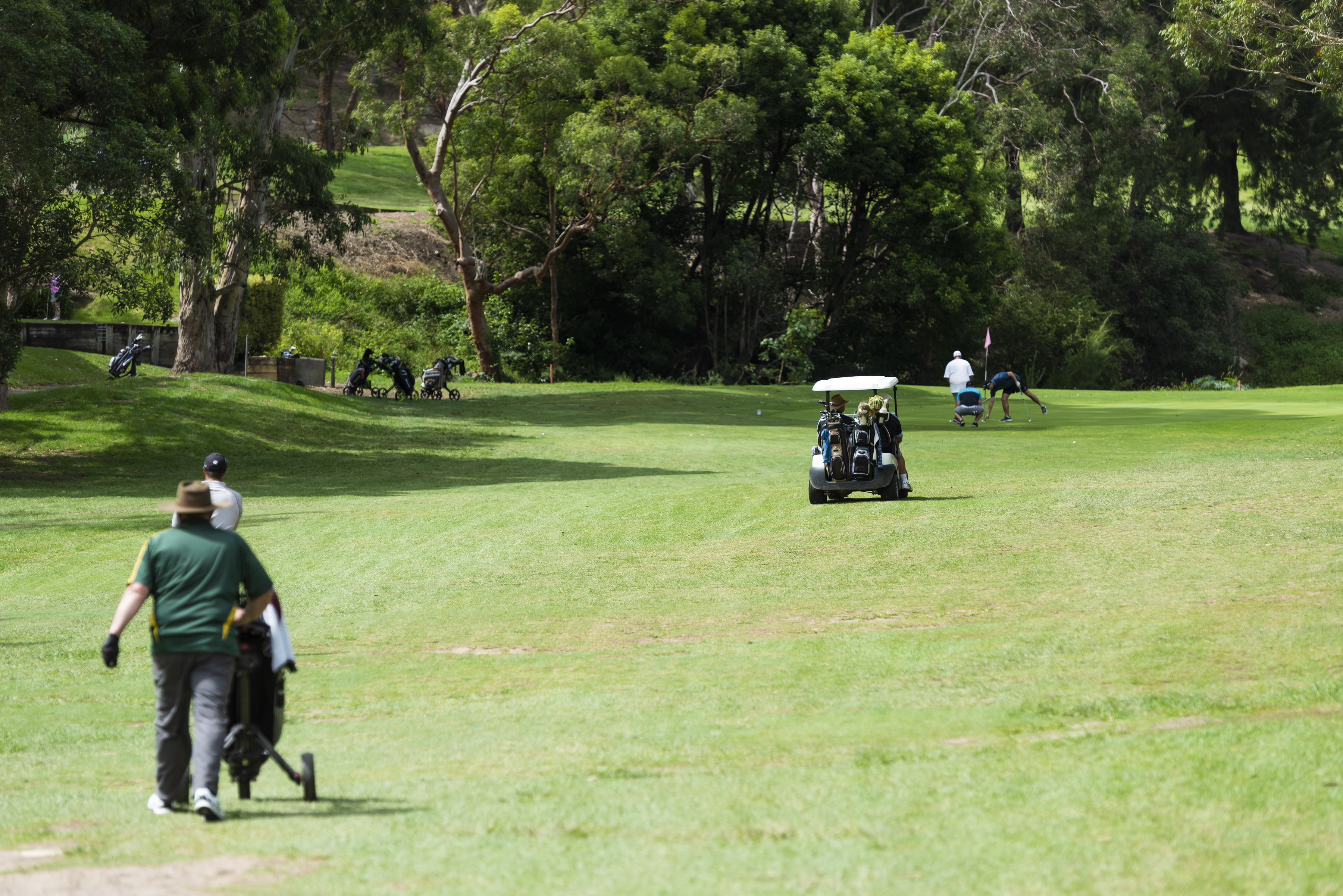 December's Golf Reports