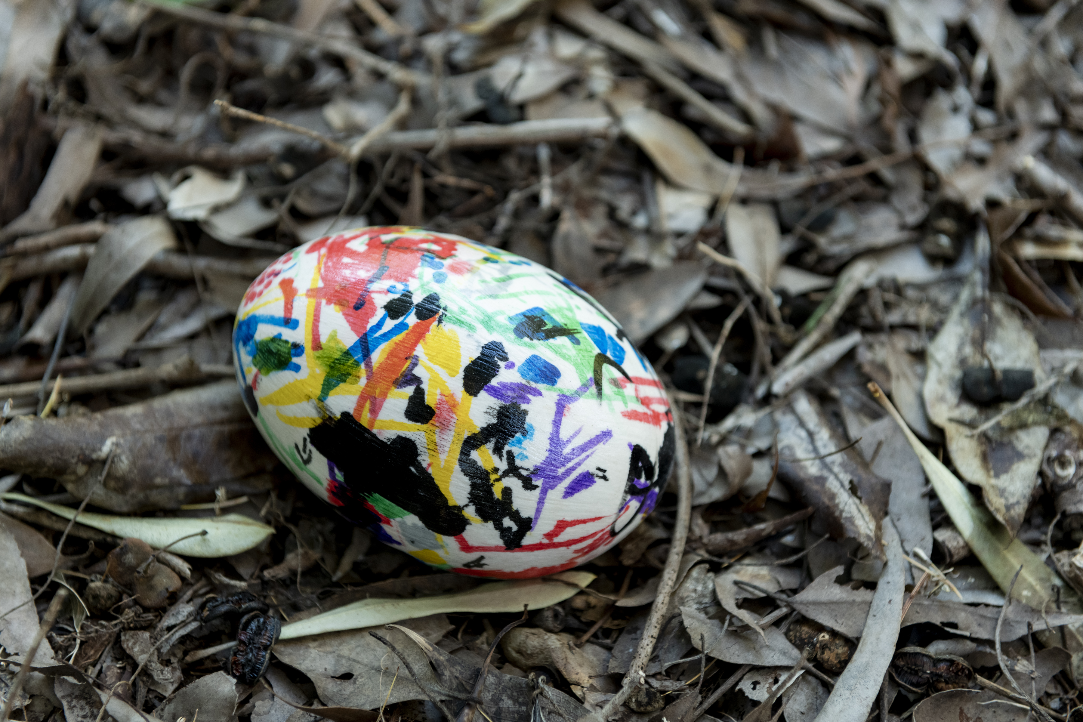 3 Bush Walks for Tiny Legs