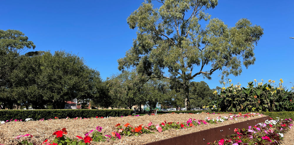 Looking forward to the long weekend