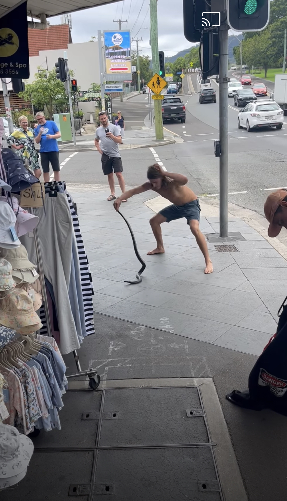 Nature Notes: Snakes in the city, comet E3 and tiny forests grow  post image