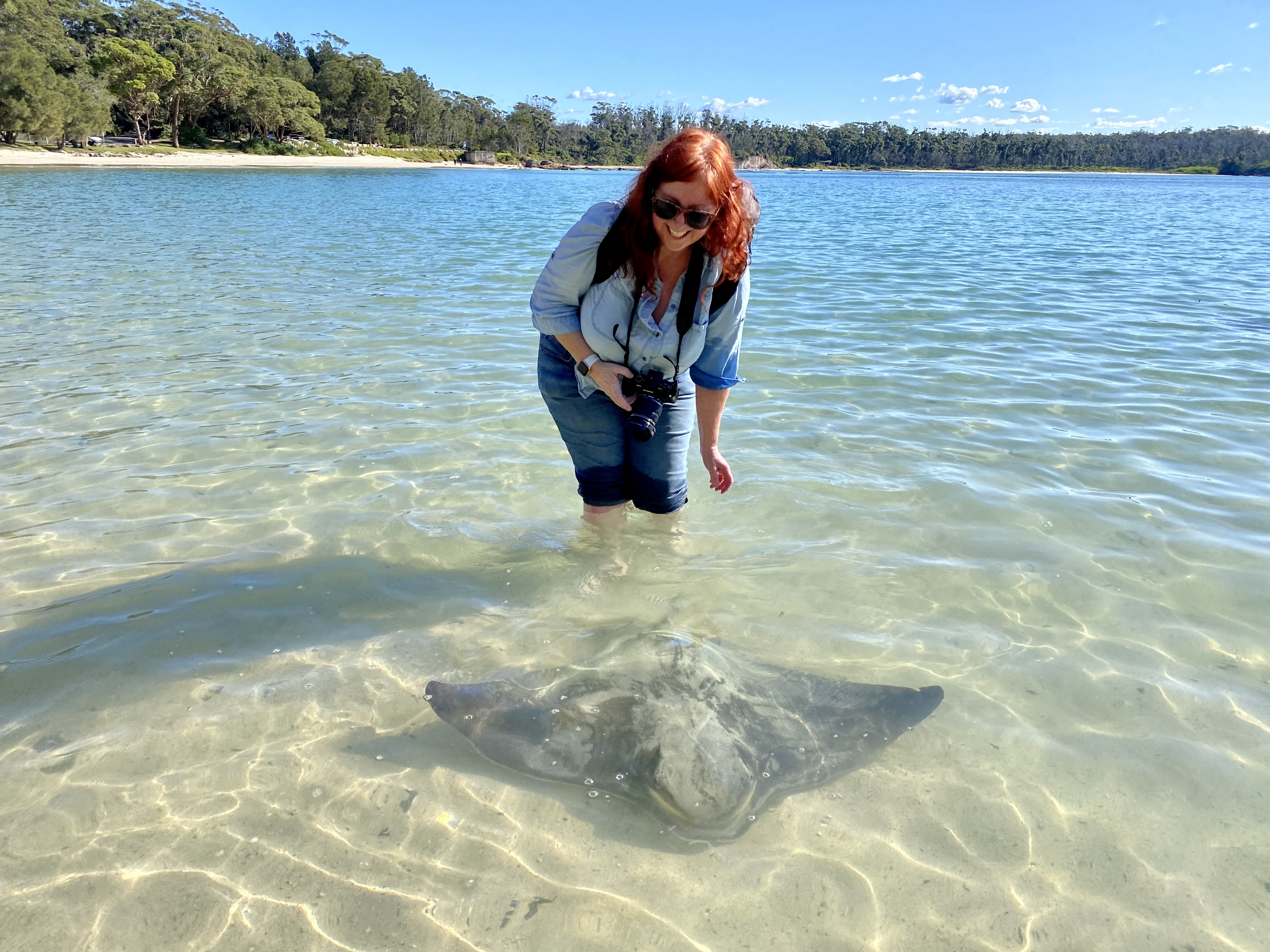 Nature Notes: Rays, bristlebirds and wandering for mental health  post image