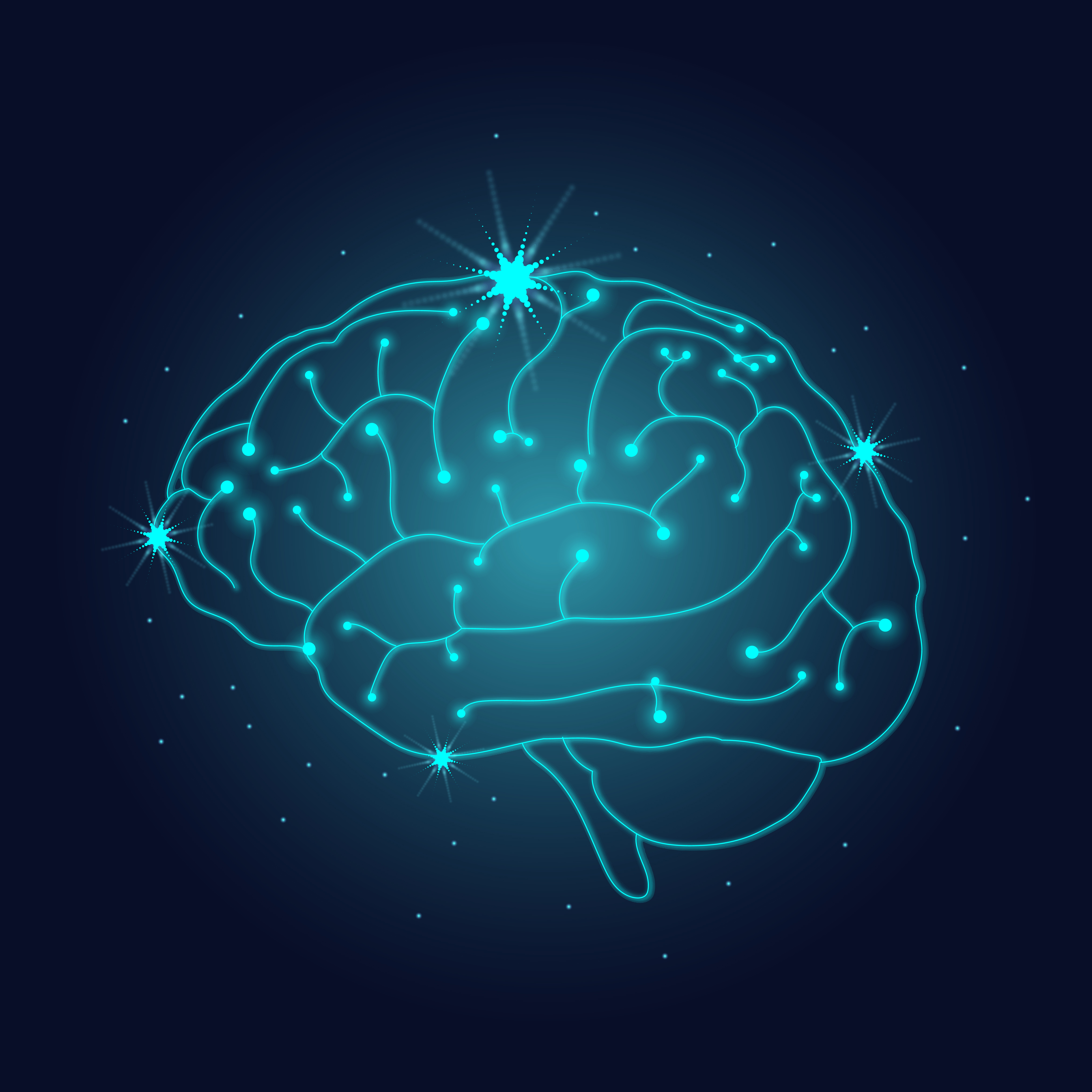Inside the ‘don’t eat me’ brain: Why we're hardwired for connection  post image