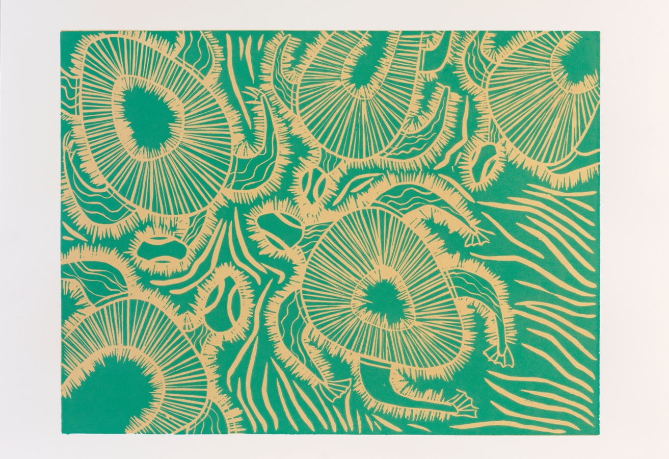 Ways to Water  post image