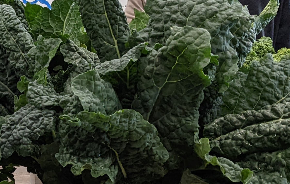 Let’s talk about leafy greens  post image