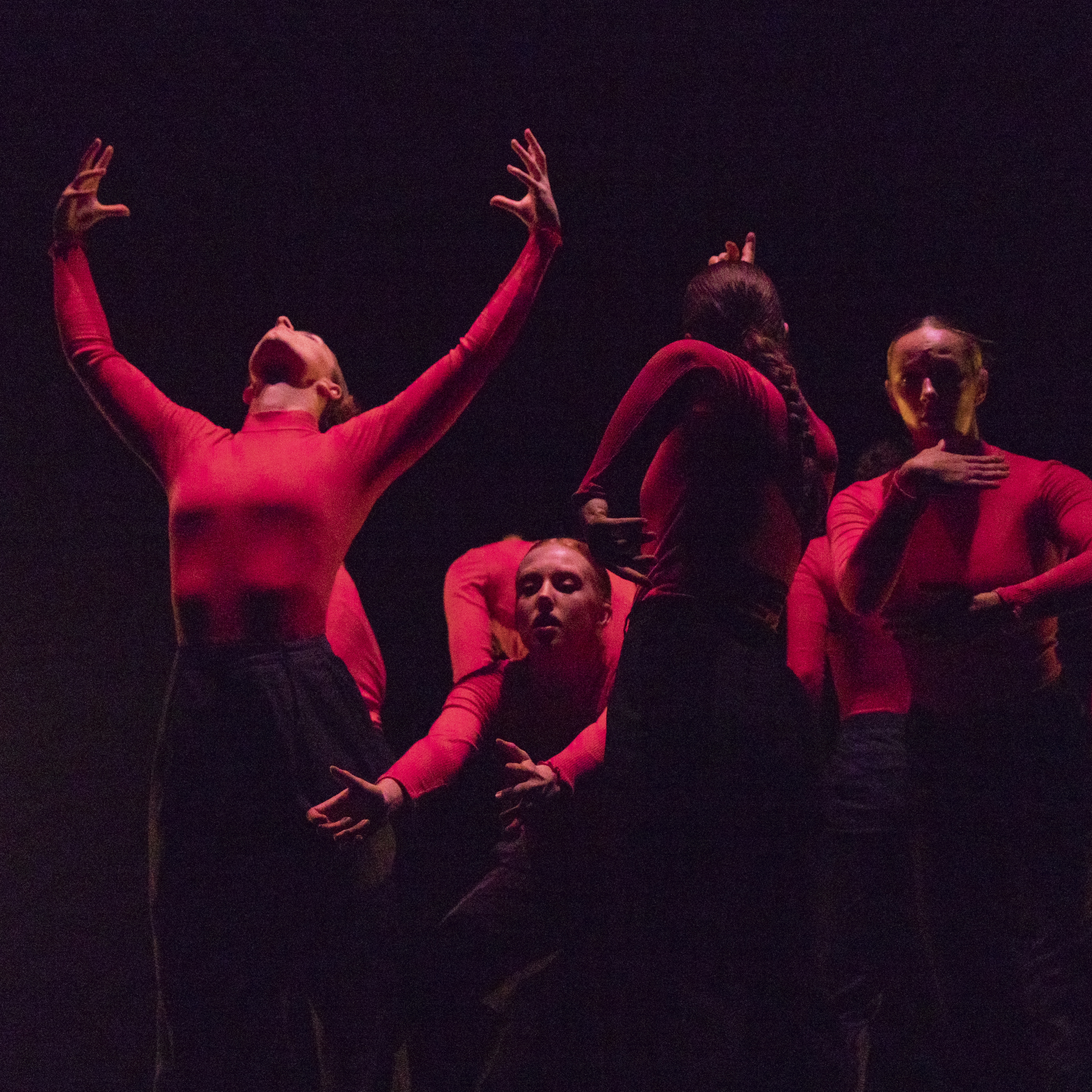 Review of AUSTI Dance's uNCOILEd eXposed 2023  post image