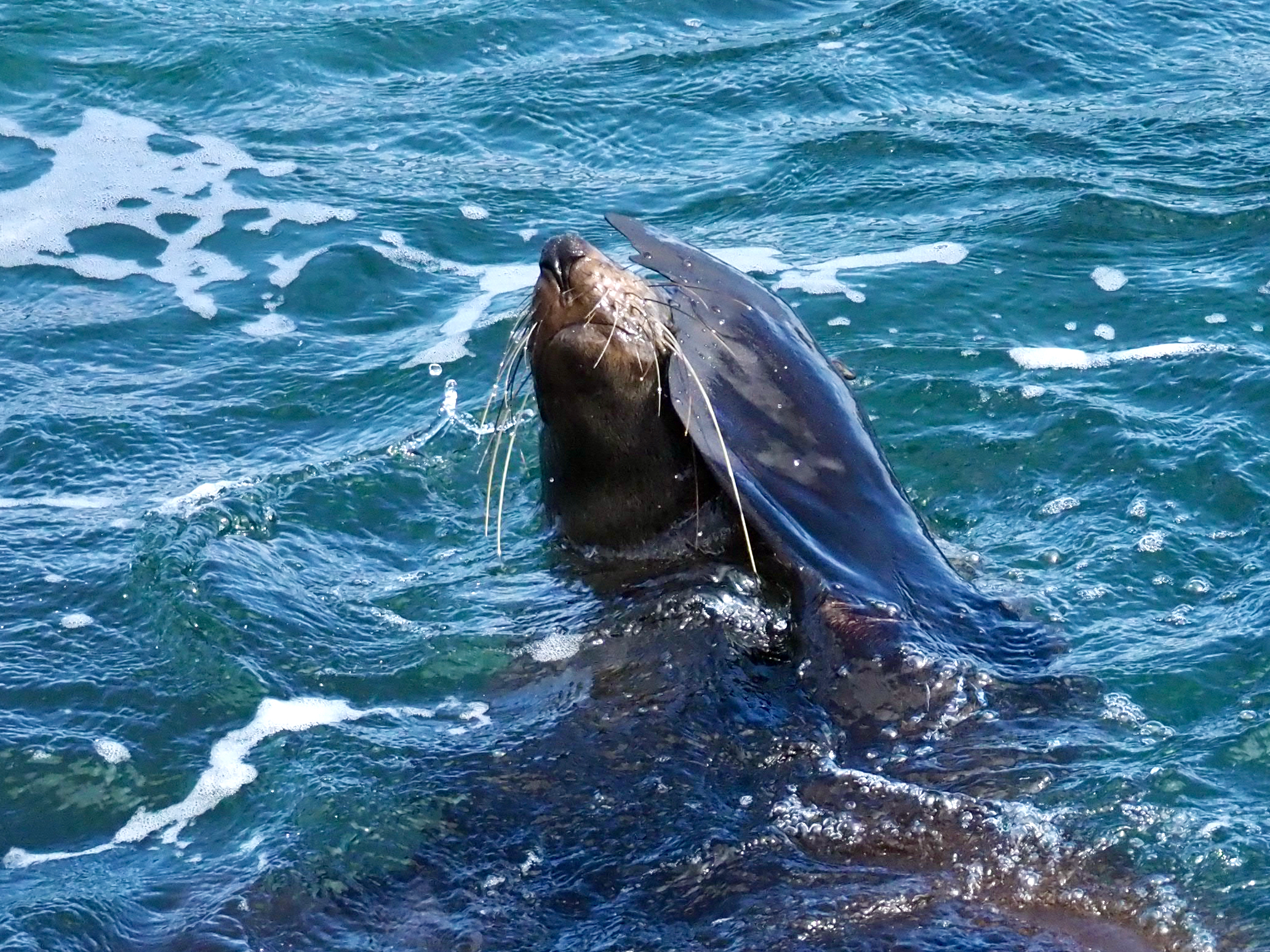 Nature Notes: Friday 20th May  post image