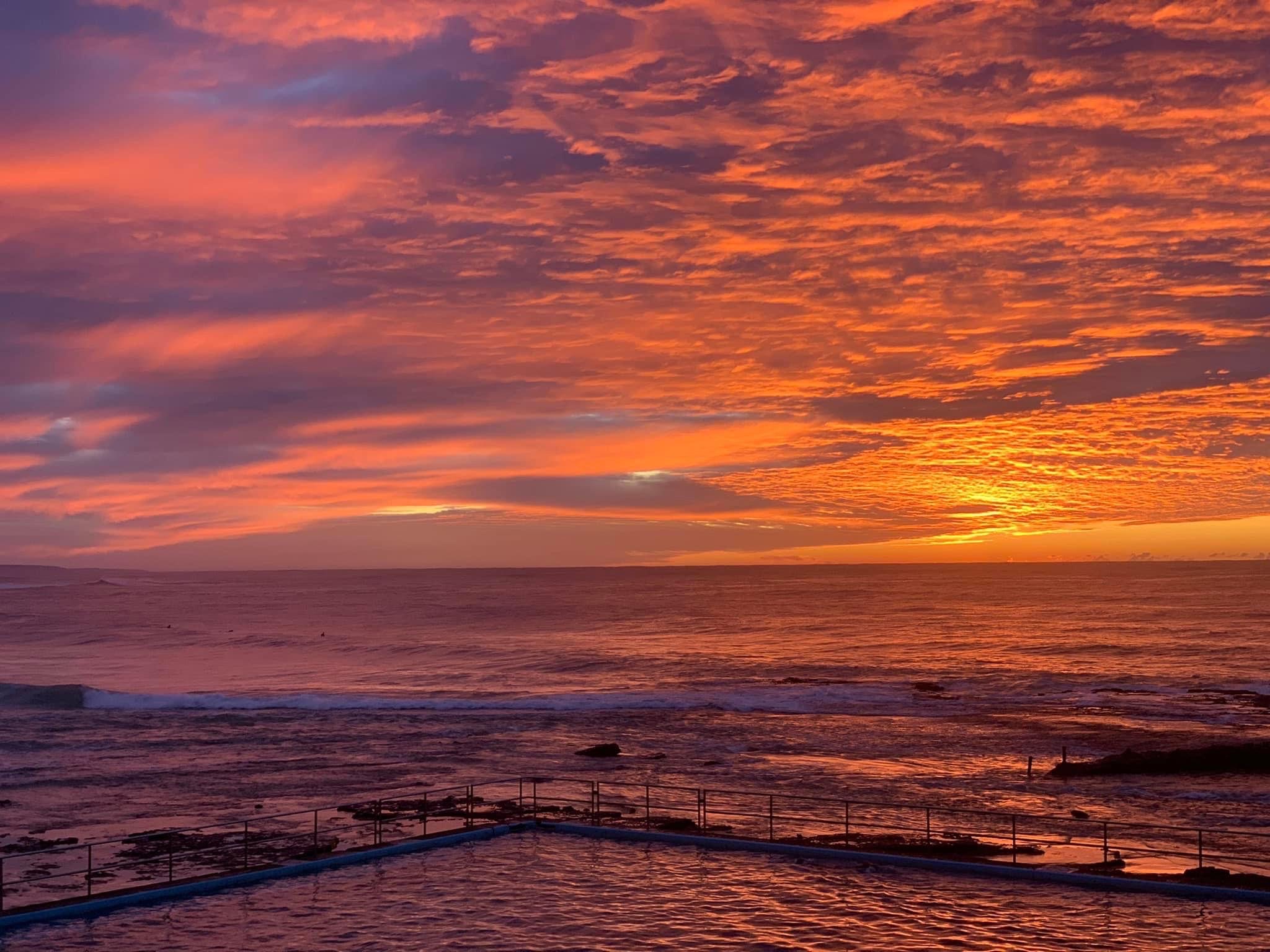 Nature Notes: 8 June 2022  post image