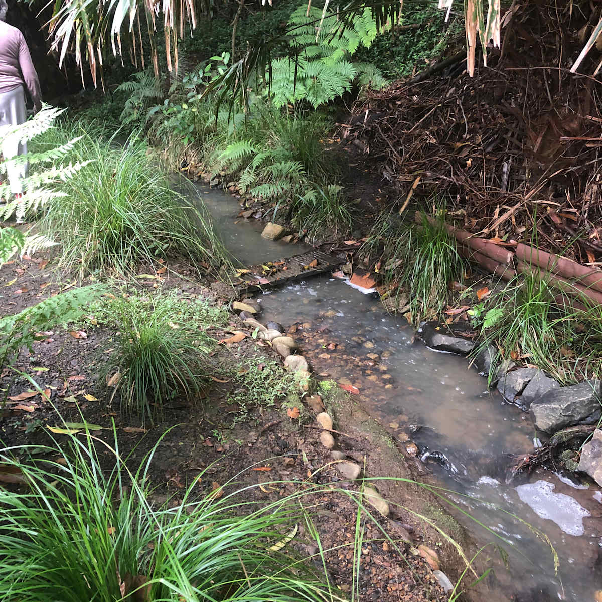 What we are all hoping for. Slow-flowing local creeks that don't cause massive destruction.